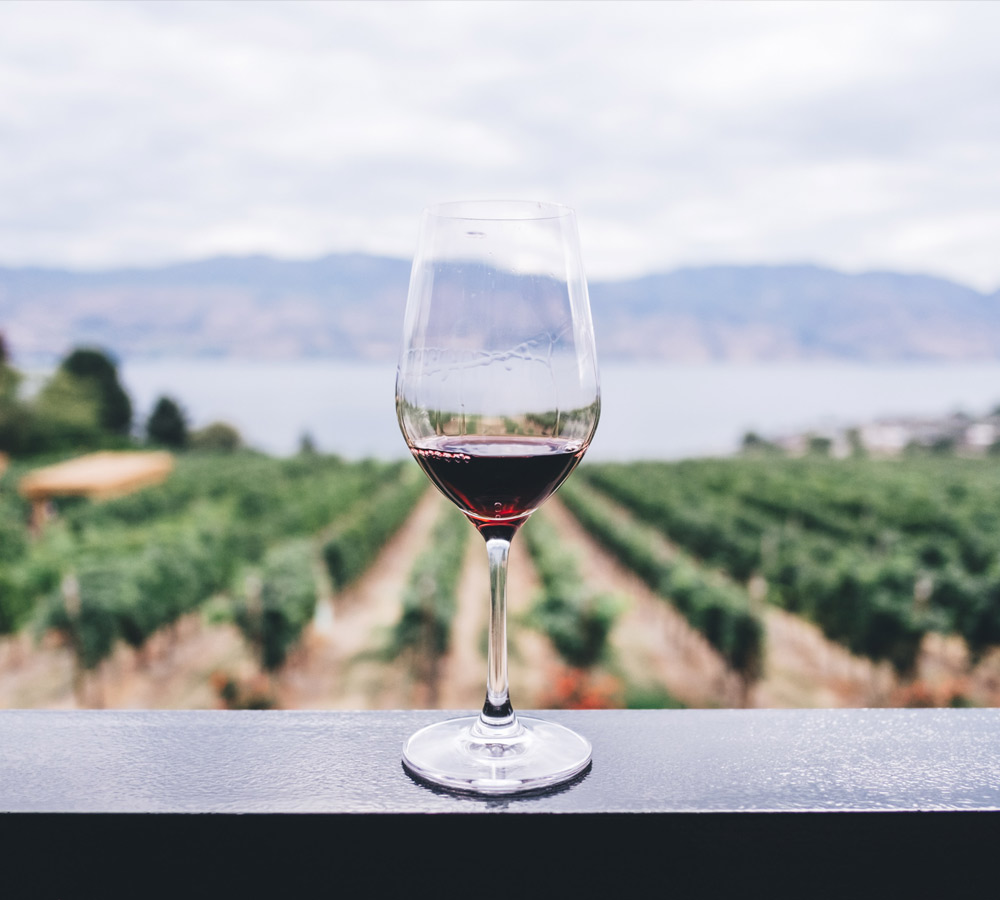 Food & Wine